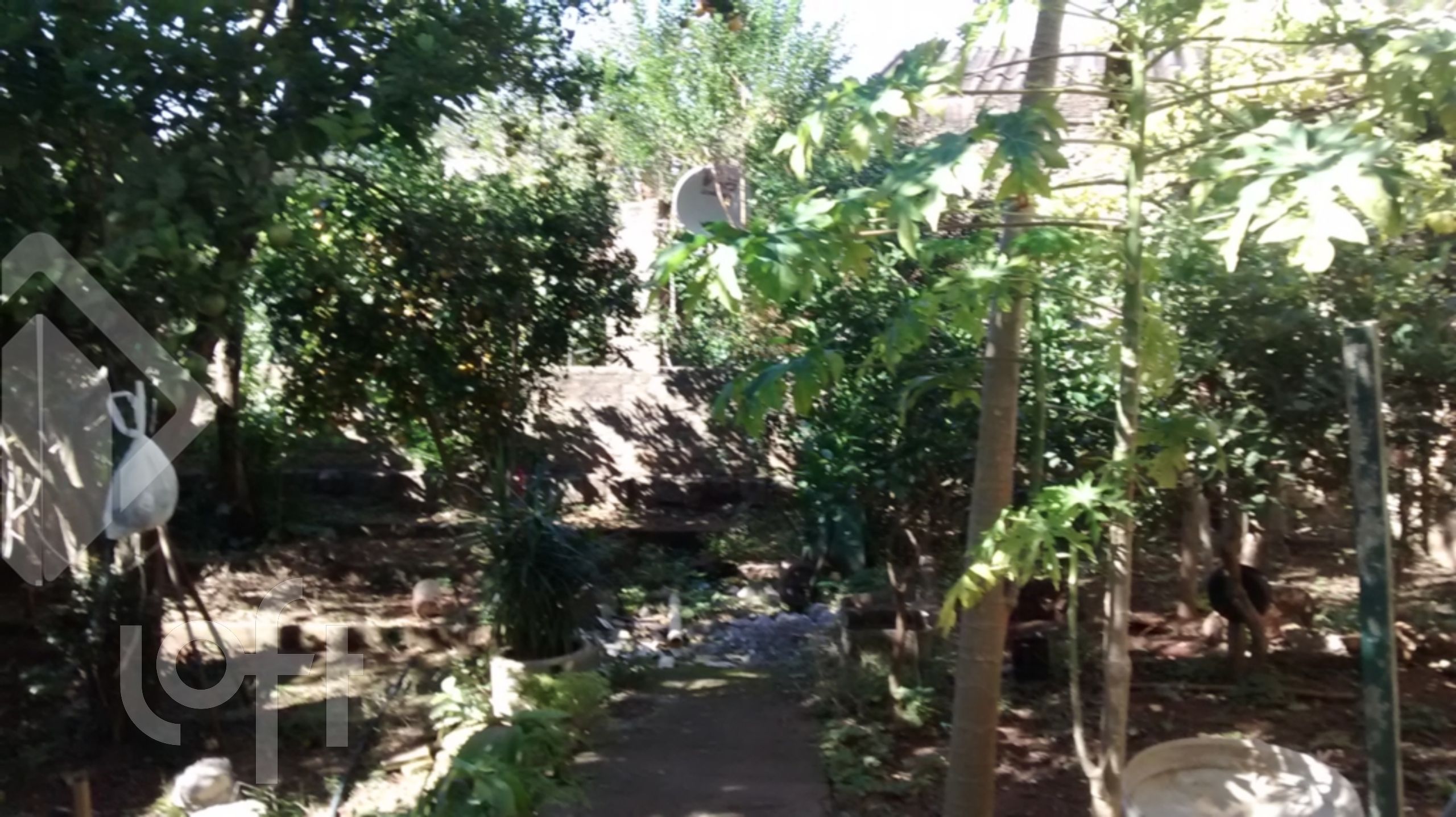 Imagem da propriedade 19