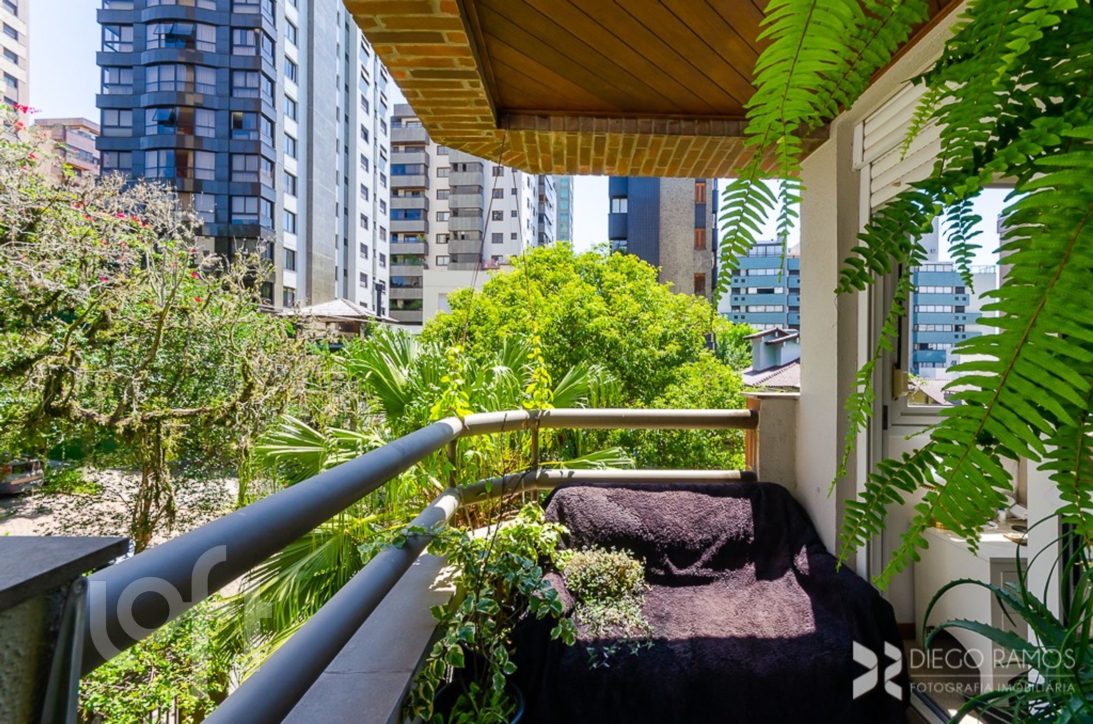 Imagem da propriedade 20