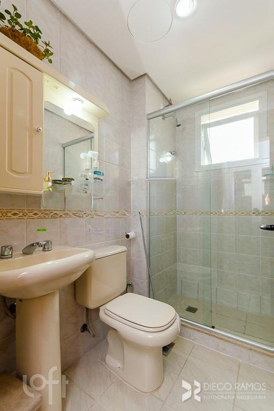 Imagem da propriedade 13