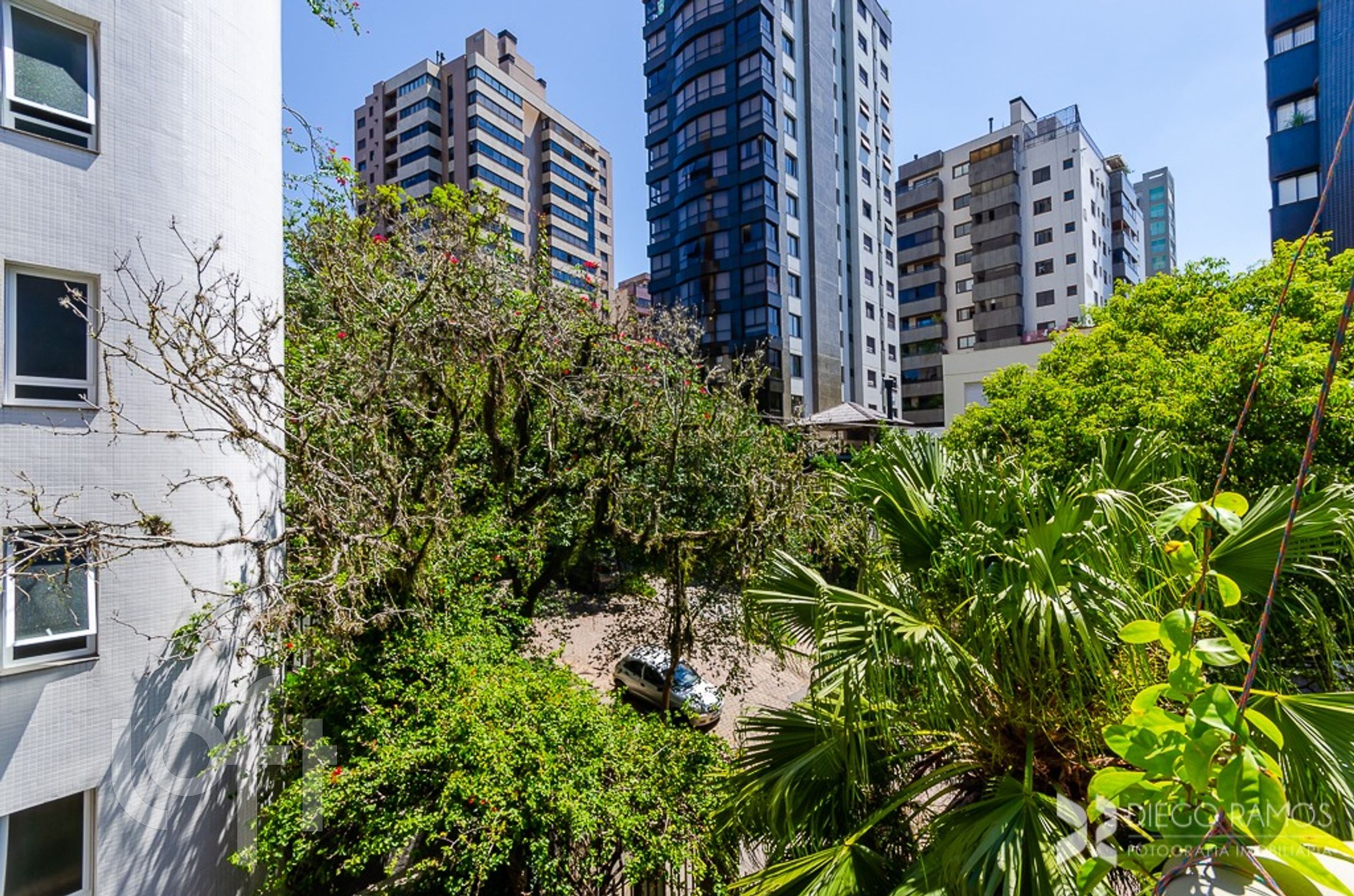 Imagem da propriedade 31