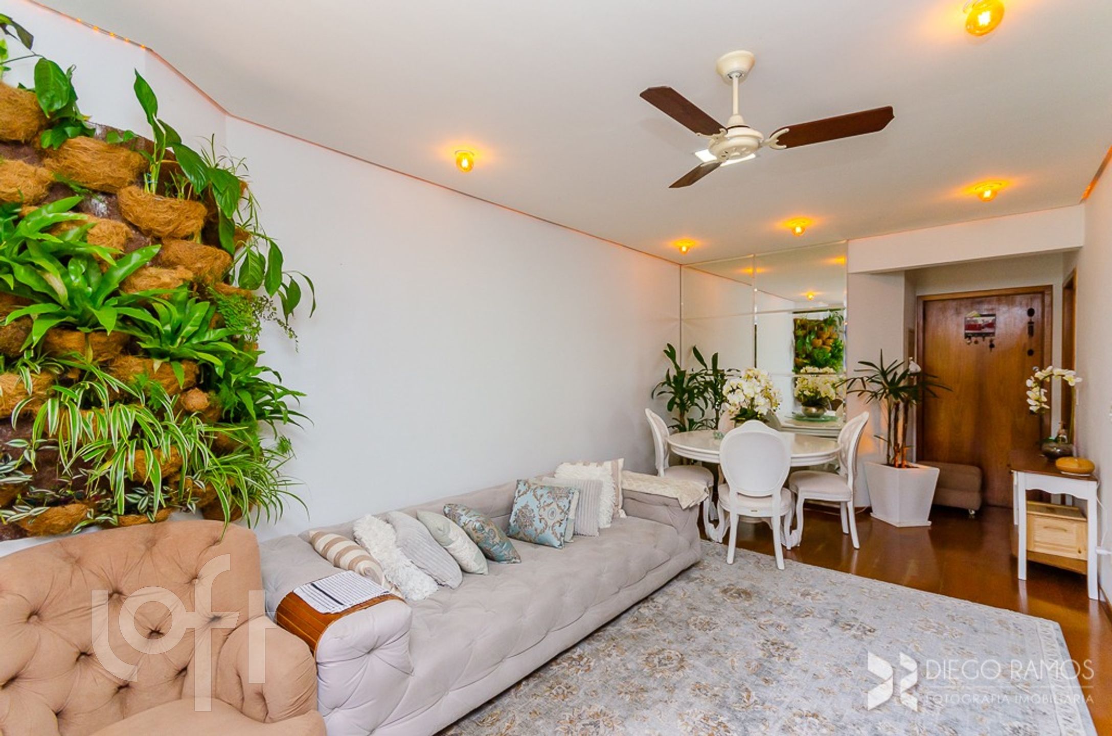 Imagem da propriedade 3