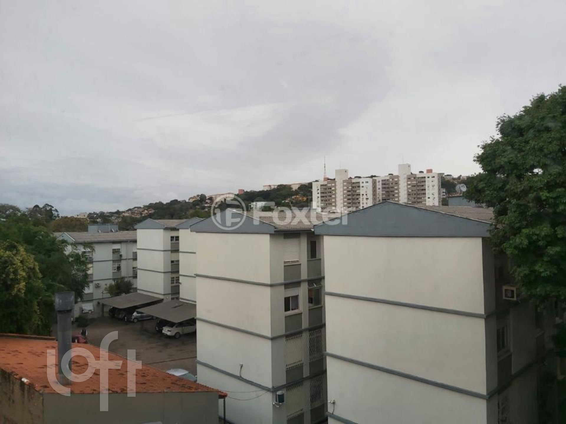 Imagem da propriedade 5