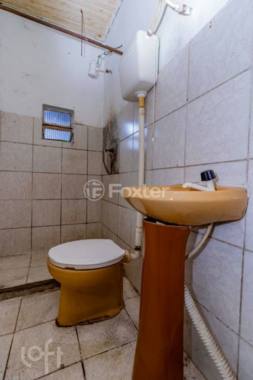 Imagem da propriedade 47