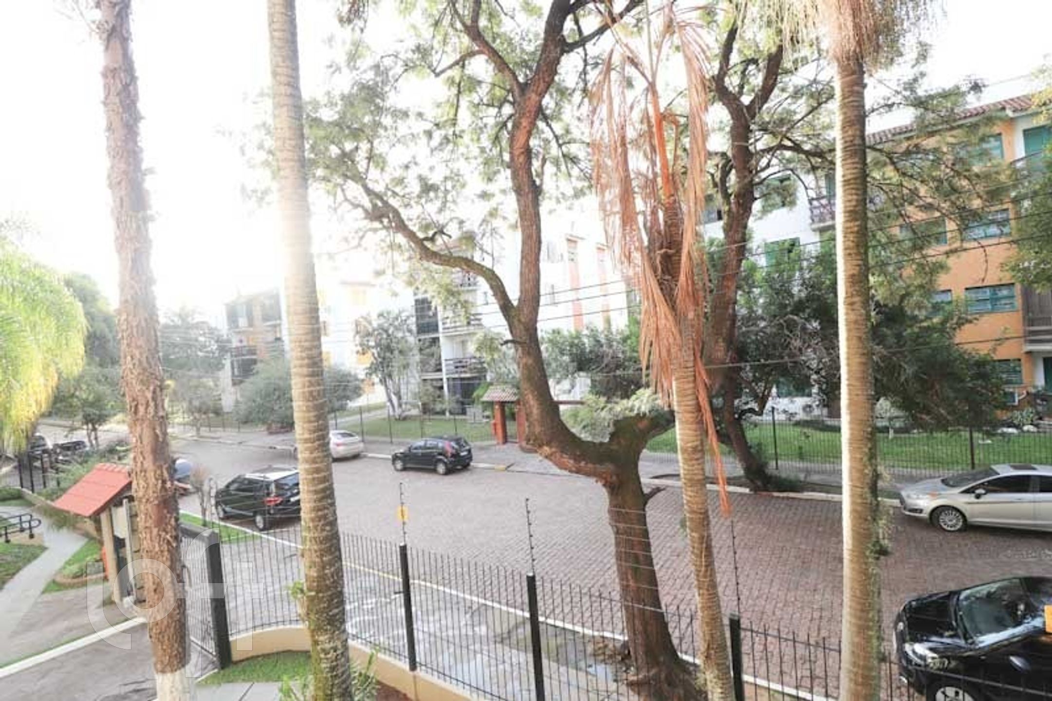 Imagem da propriedade 20