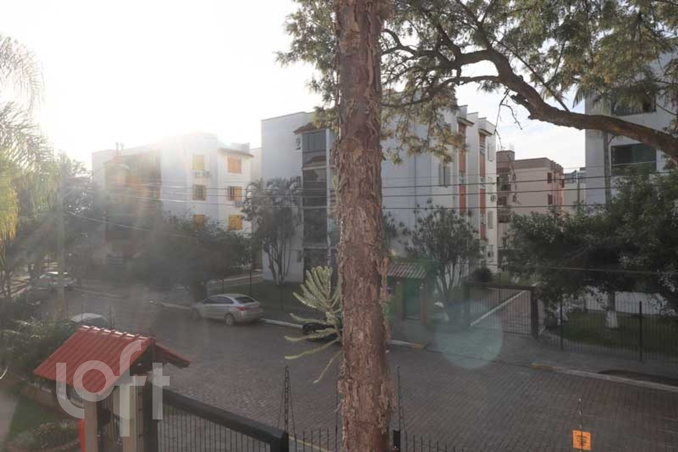 Imagem da propriedade 6