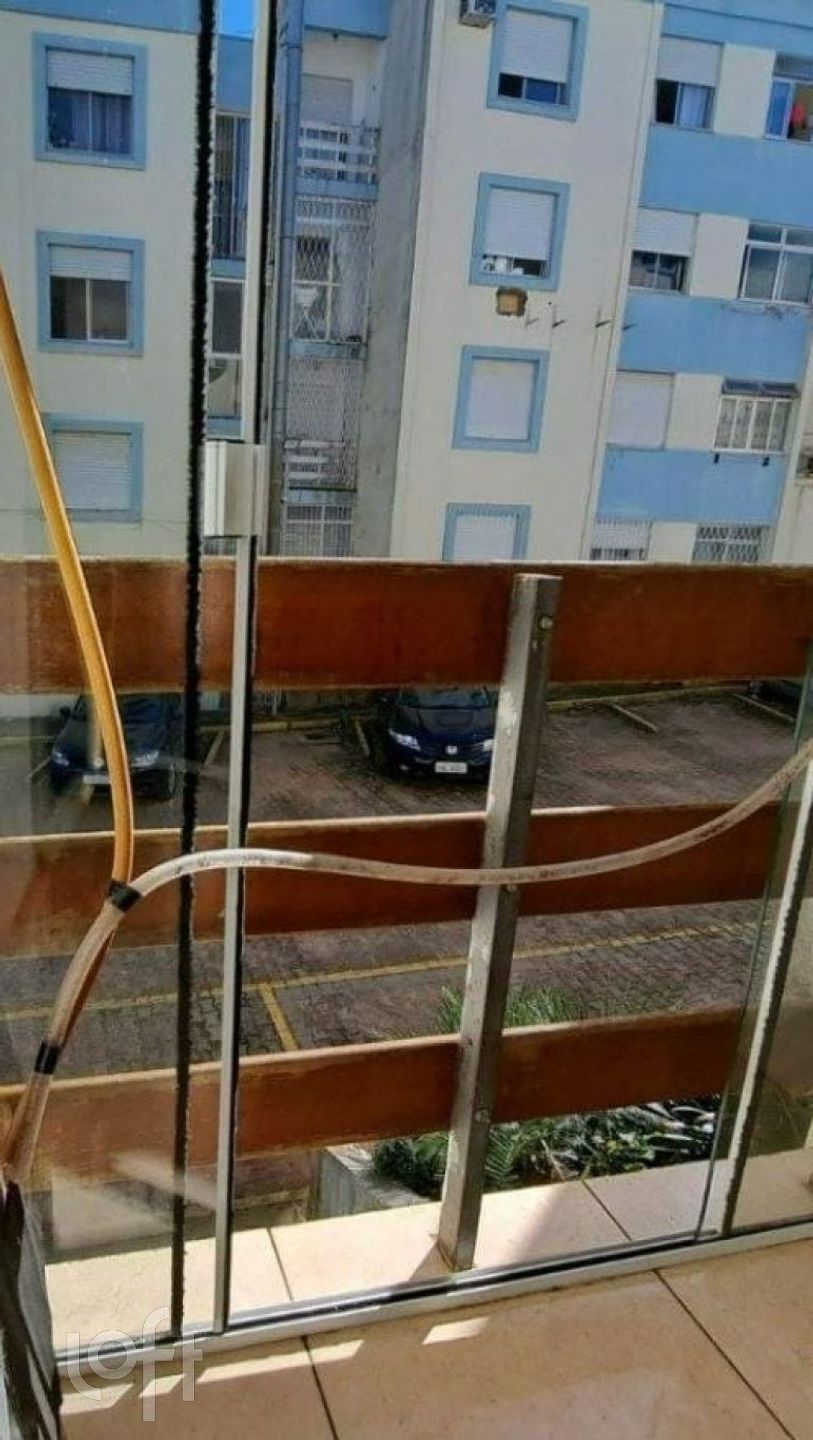 Imagem da propriedade 8