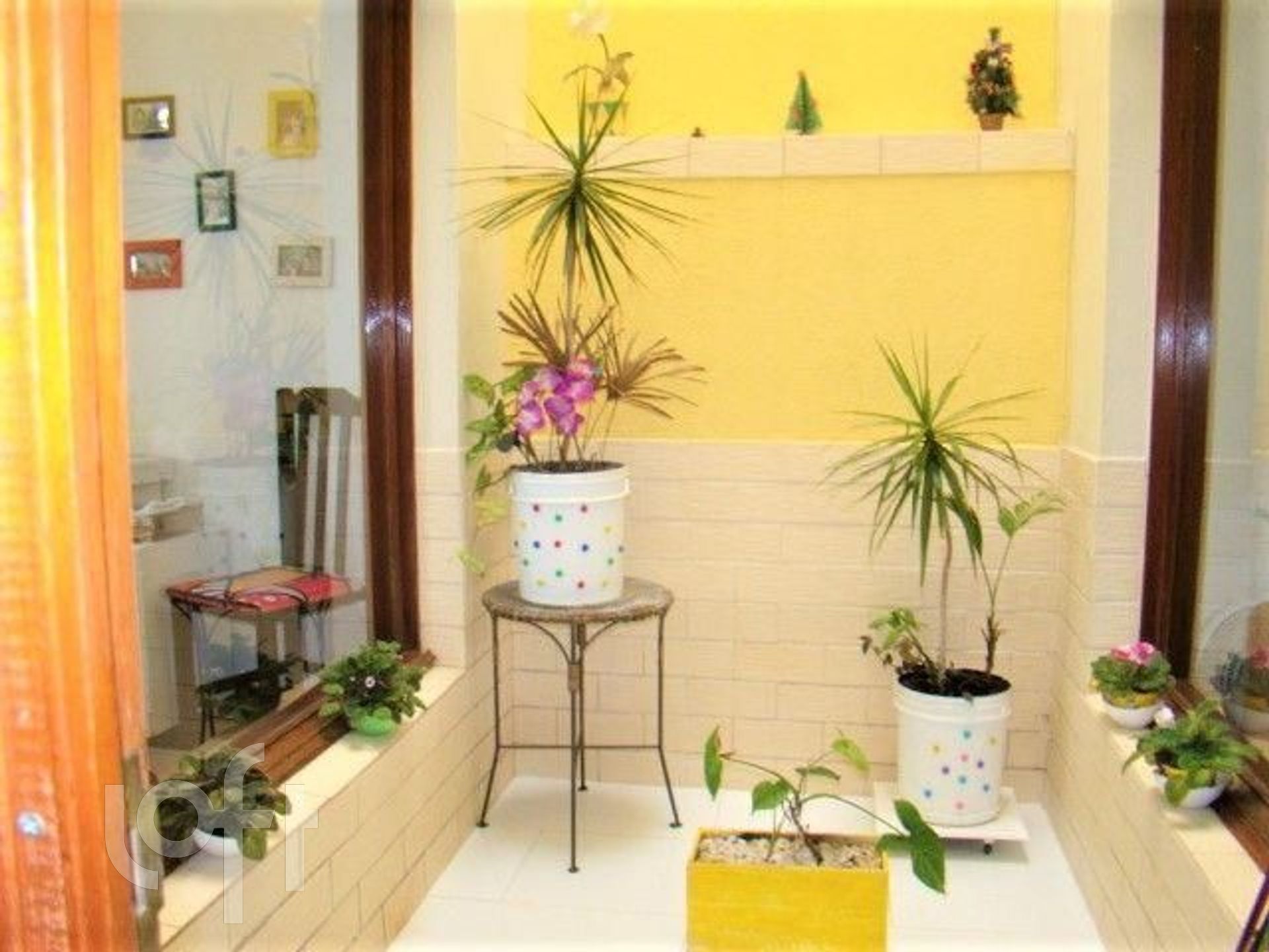 Imagem da propriedade 6