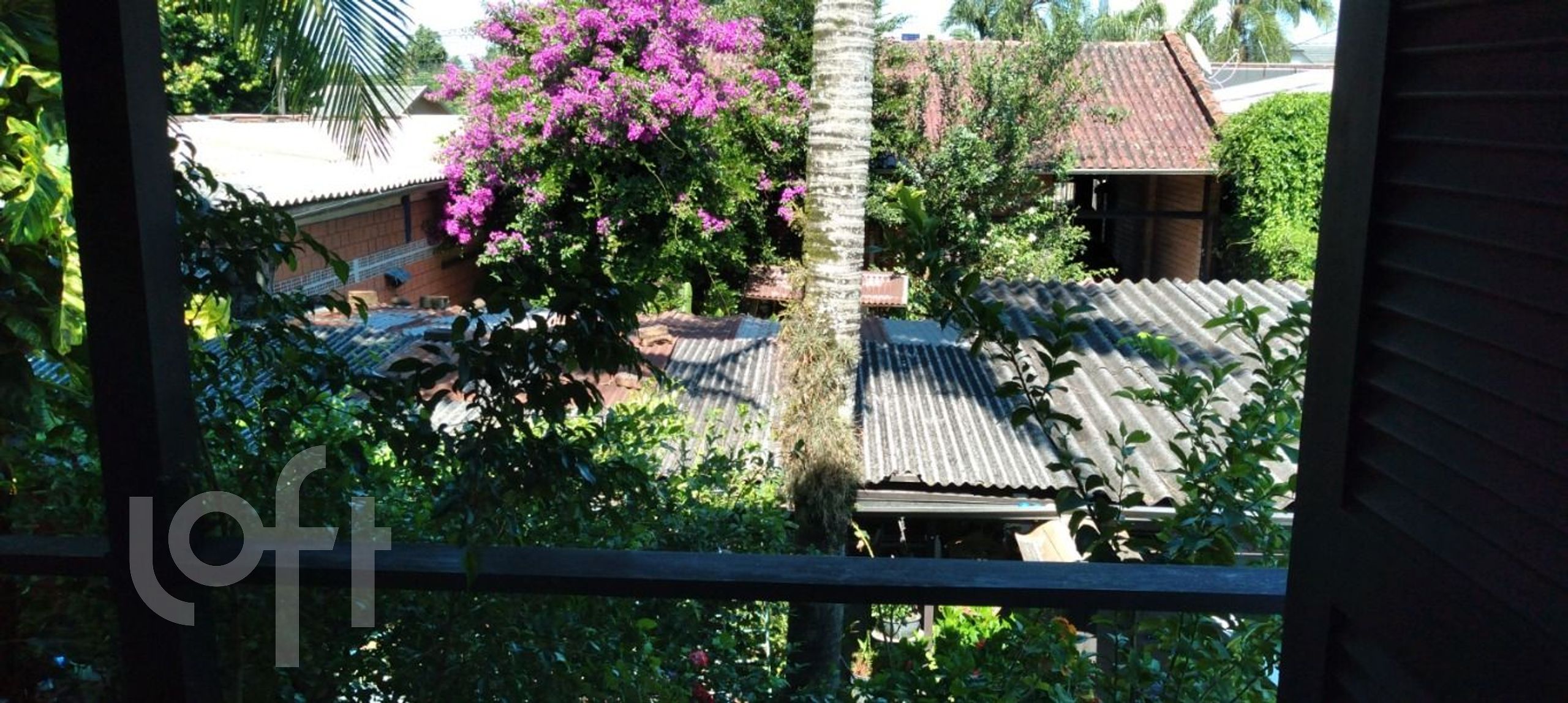 Imagem da propriedade 17