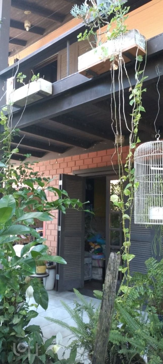 Imagem da propriedade 15