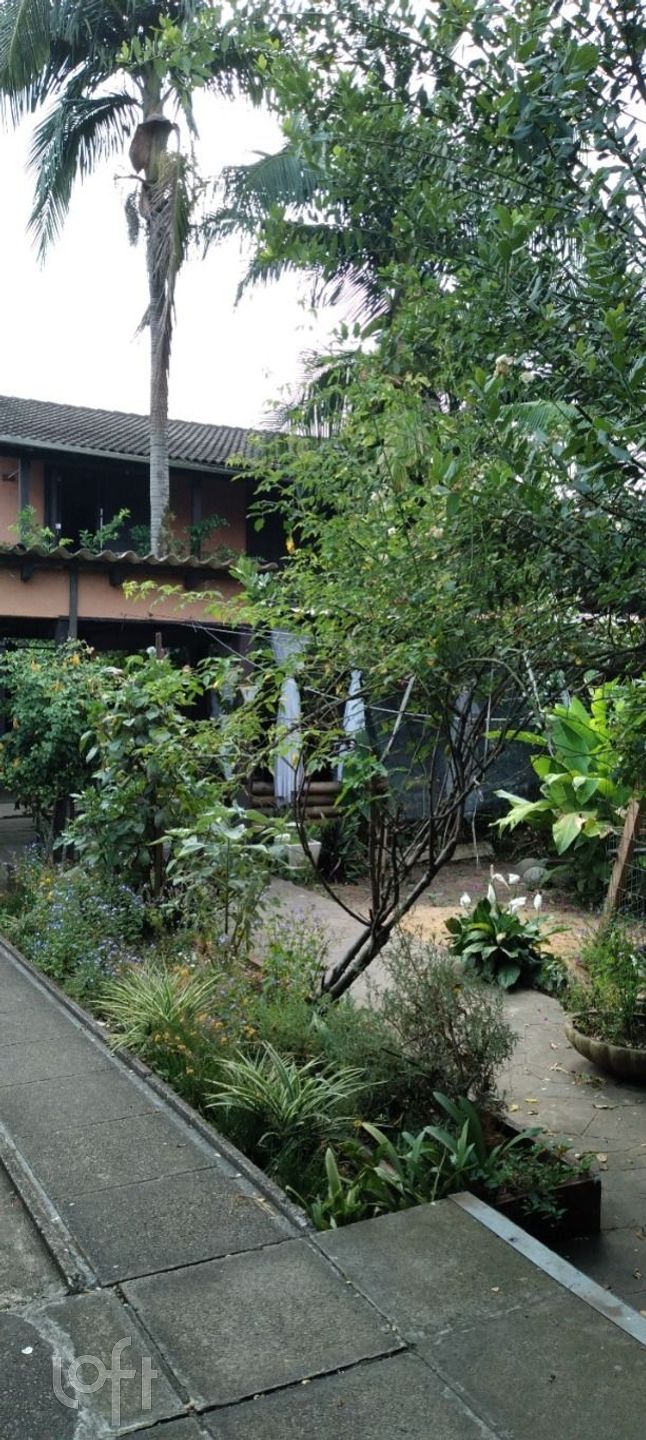 Imagem da propriedade 10