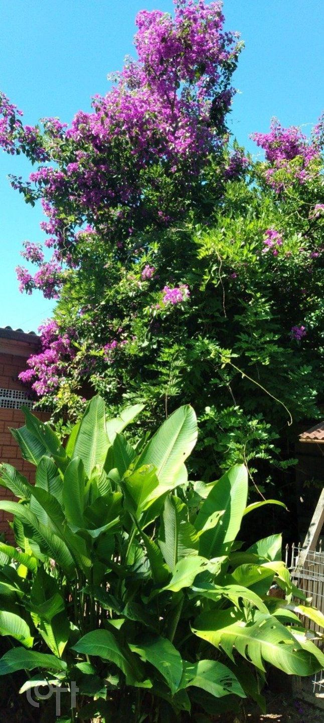 Imagem da propriedade 8