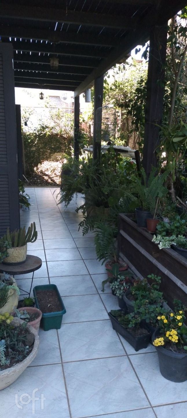 Imagem da propriedade 12