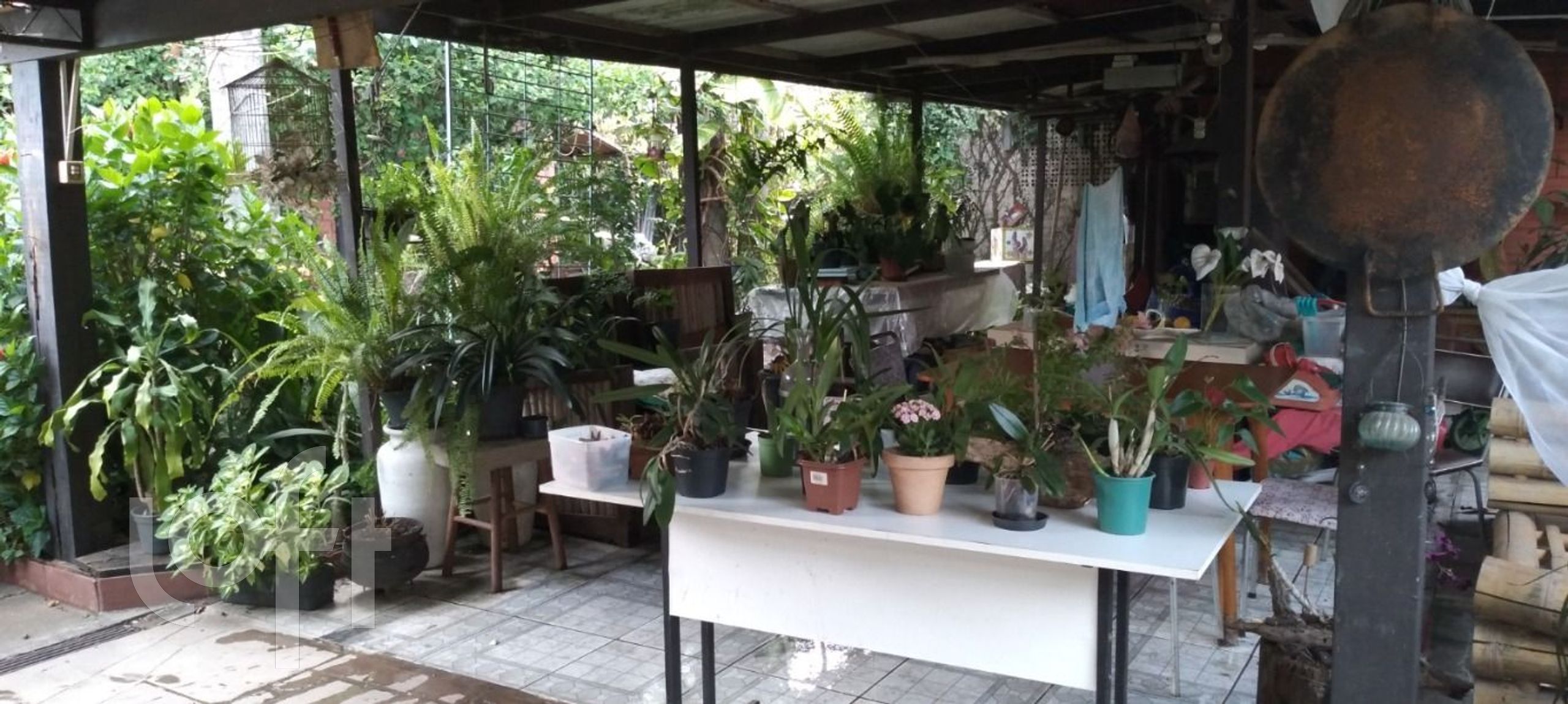 Imagem da propriedade 11