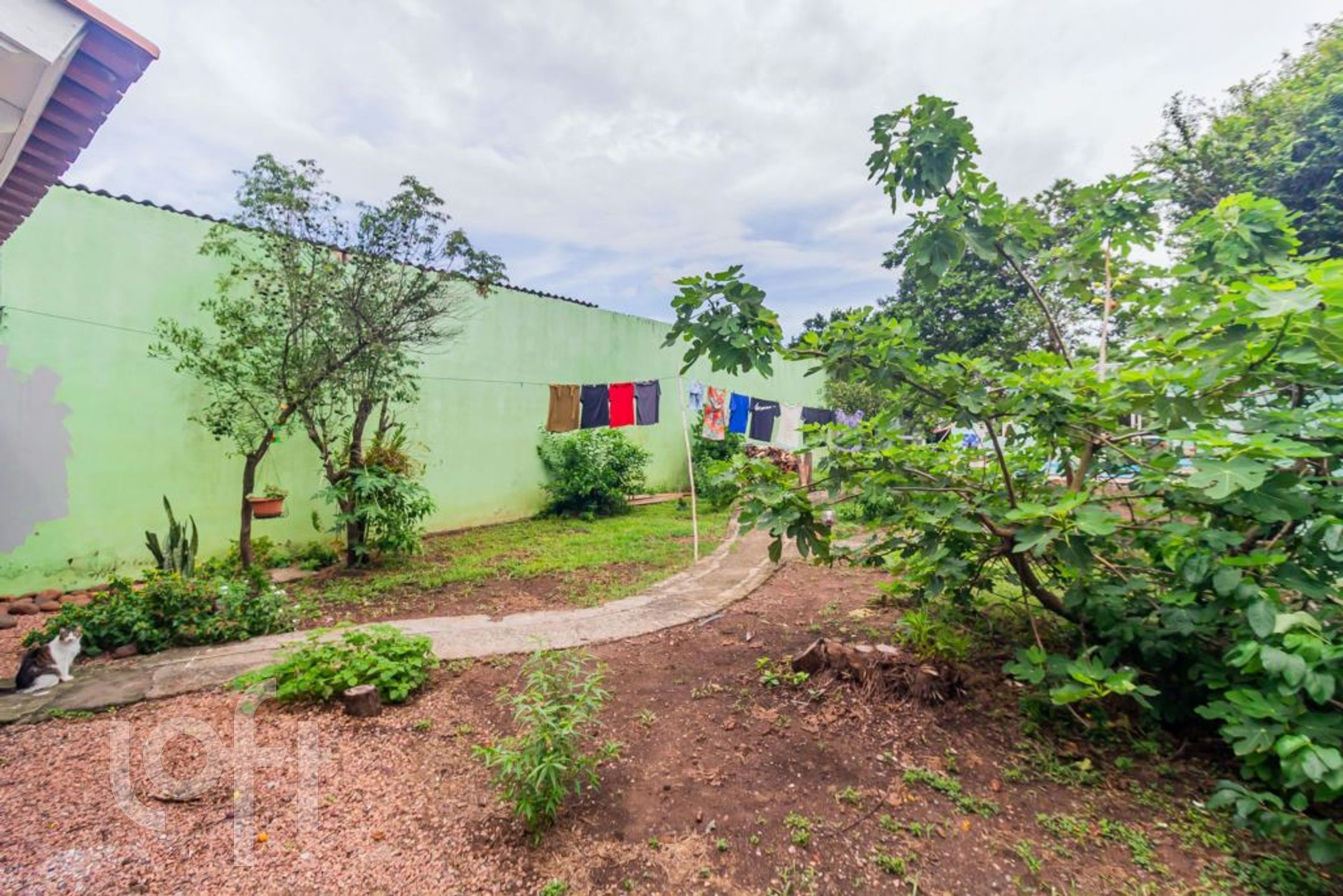 Imagem da propriedade 52