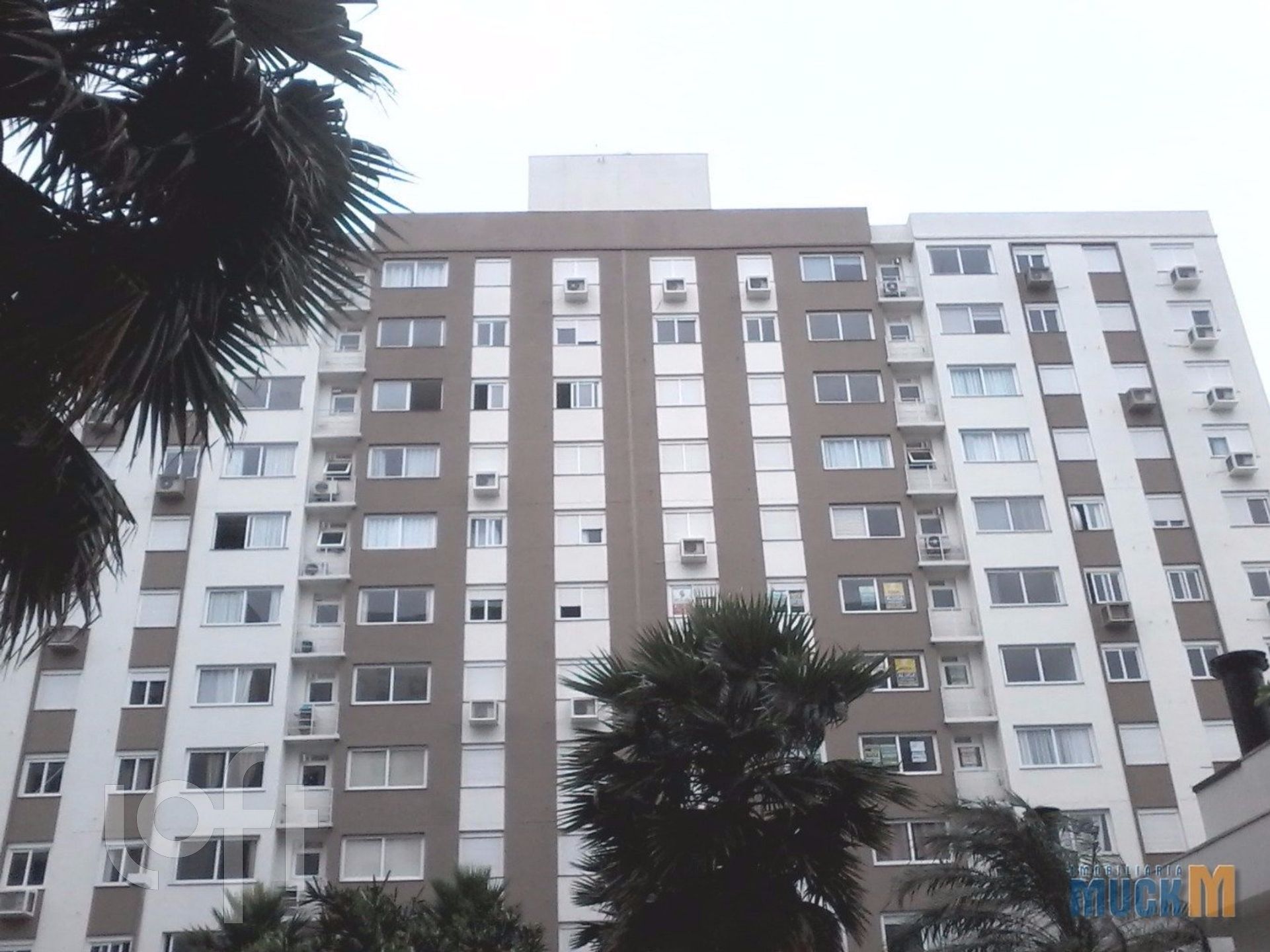 Imagem da propriedade 6