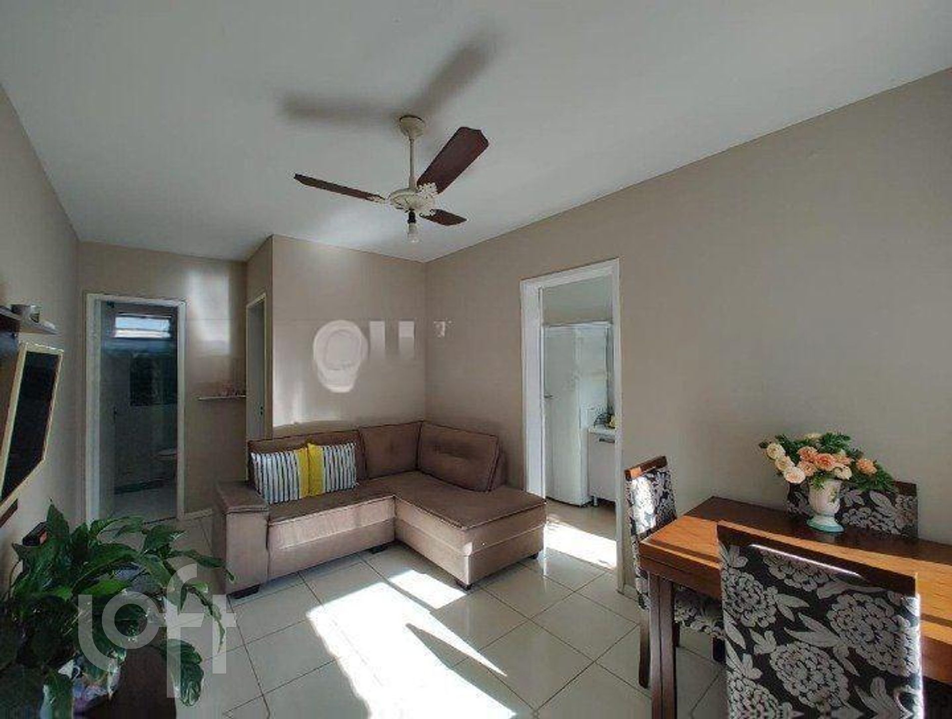 Imagem da propriedade 3