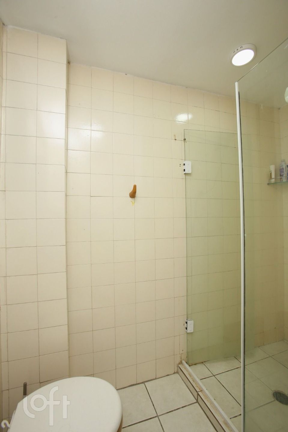 Imagem da propriedade 17