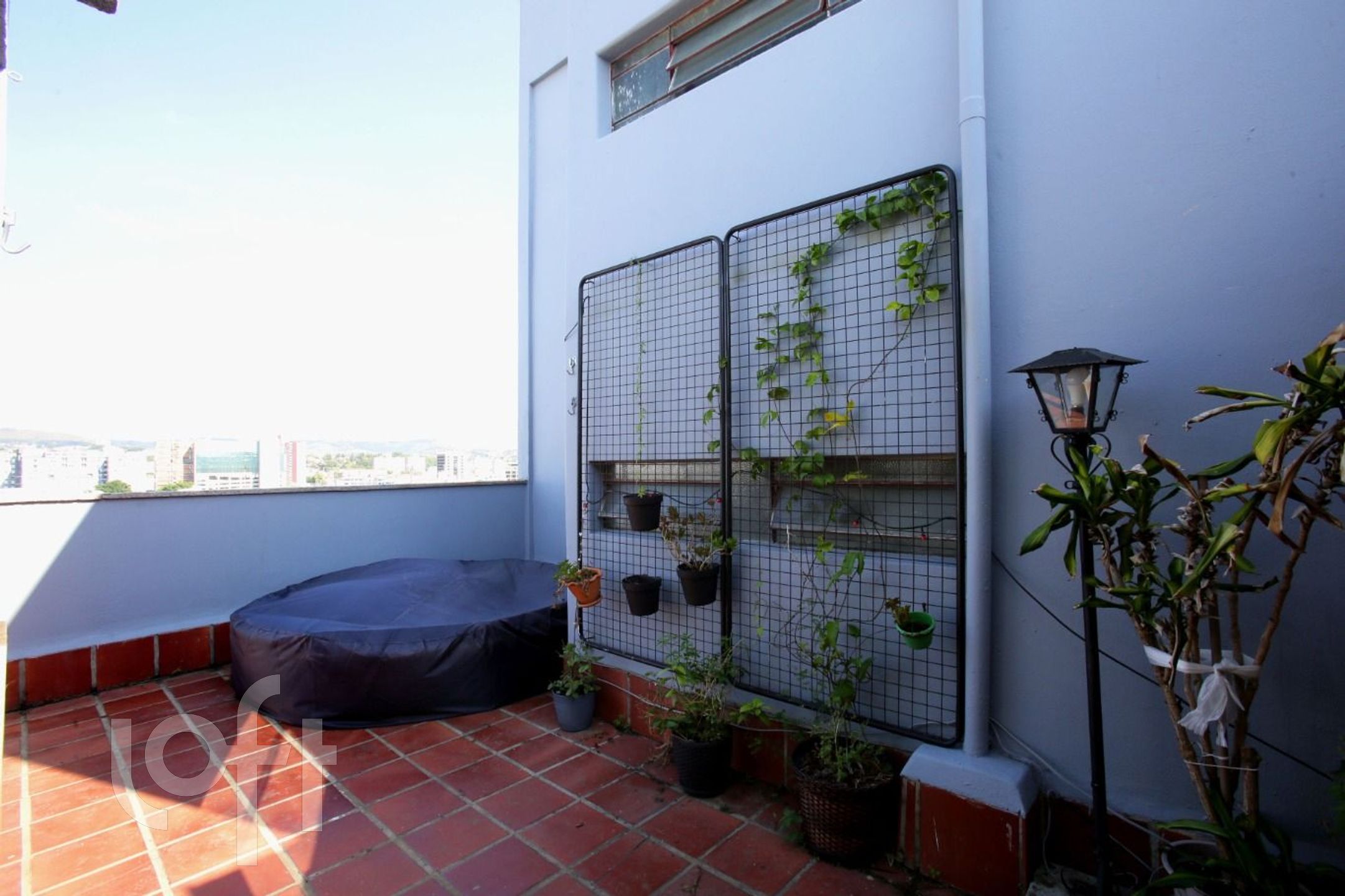 Imagem da propriedade 5