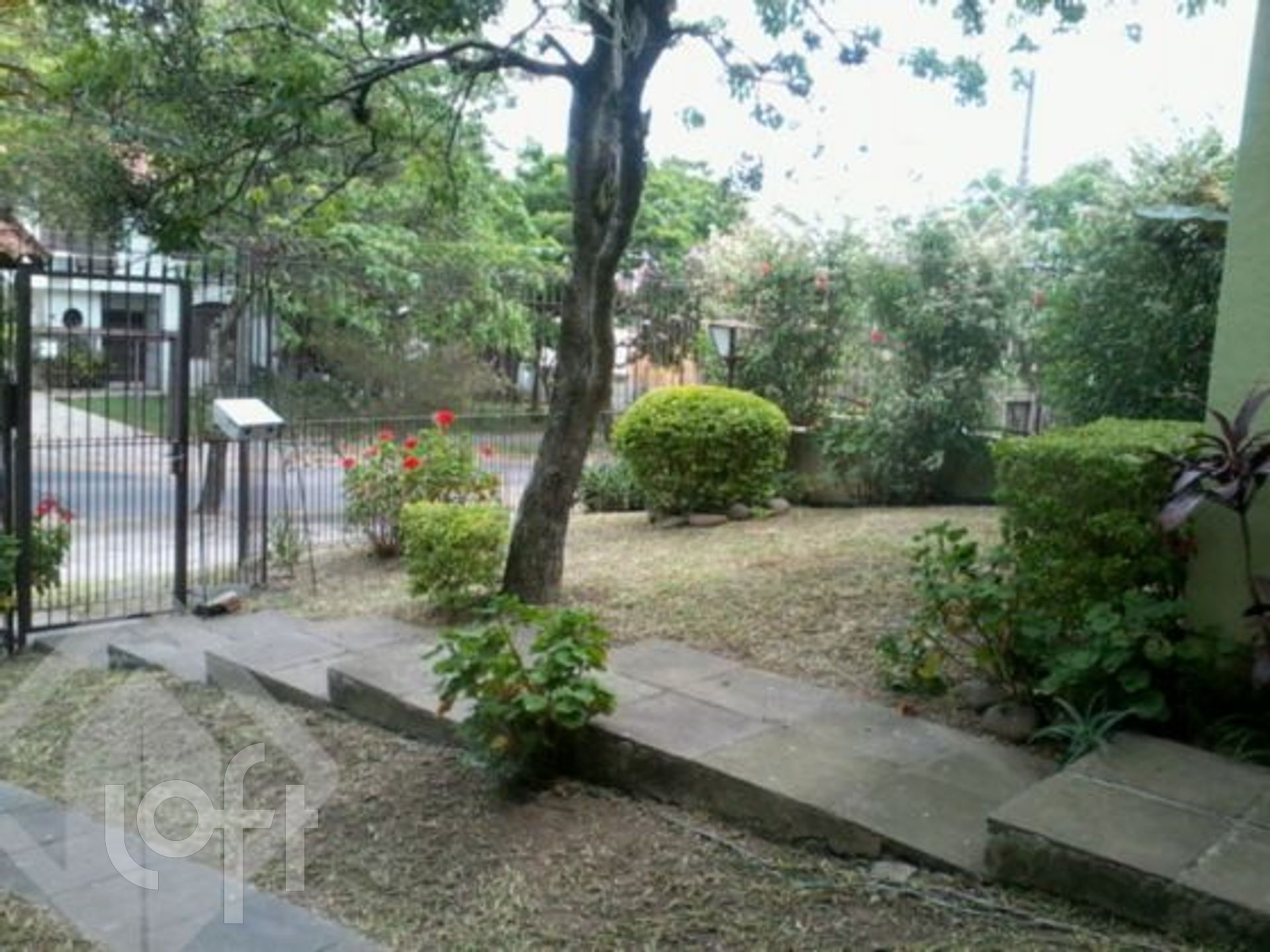 Imagem da propriedade 18