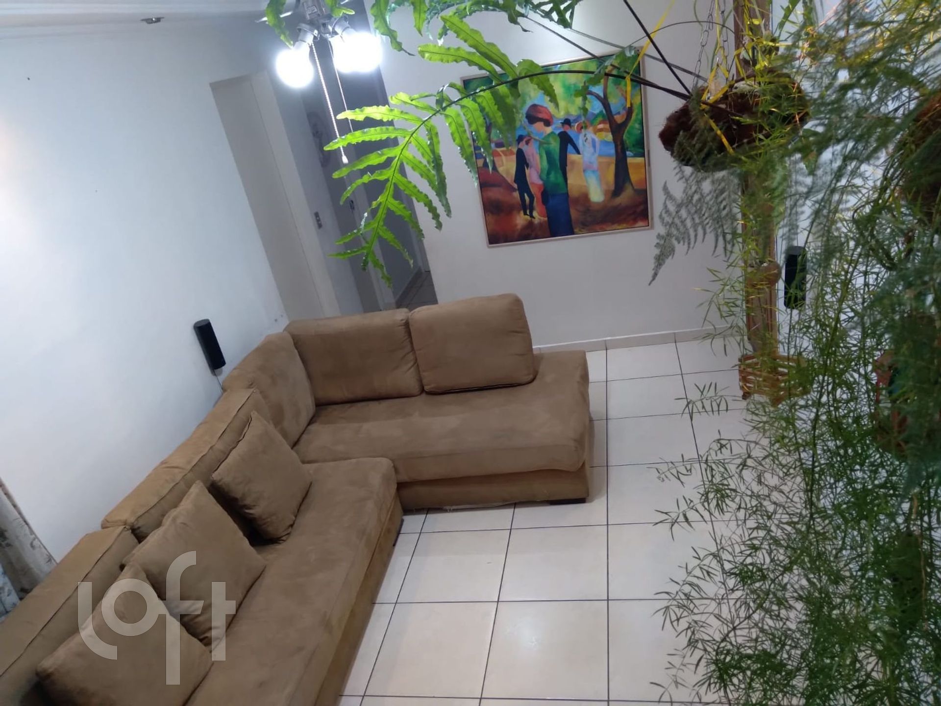 Imagem da propriedade 62186 11