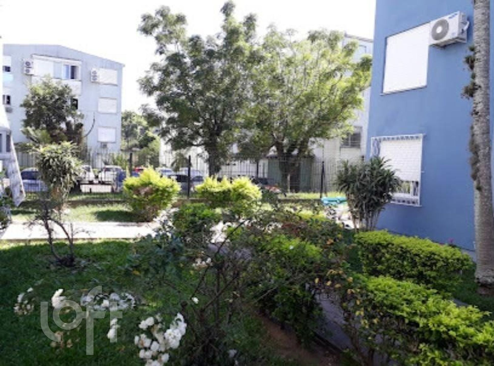 Imagem da propriedade 22