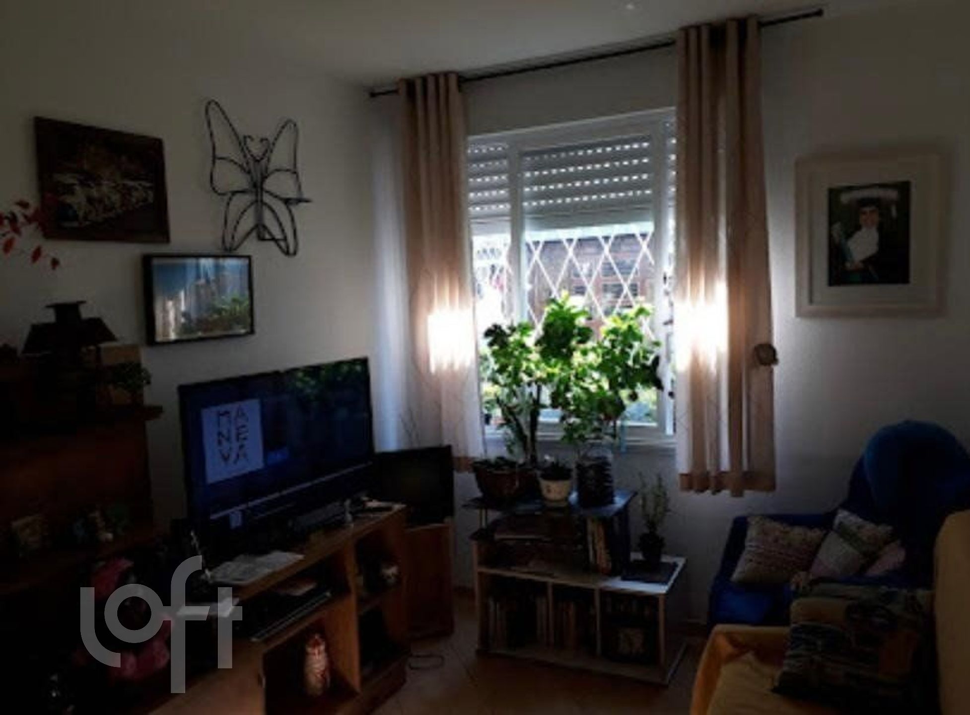 Imagem da propriedade 16