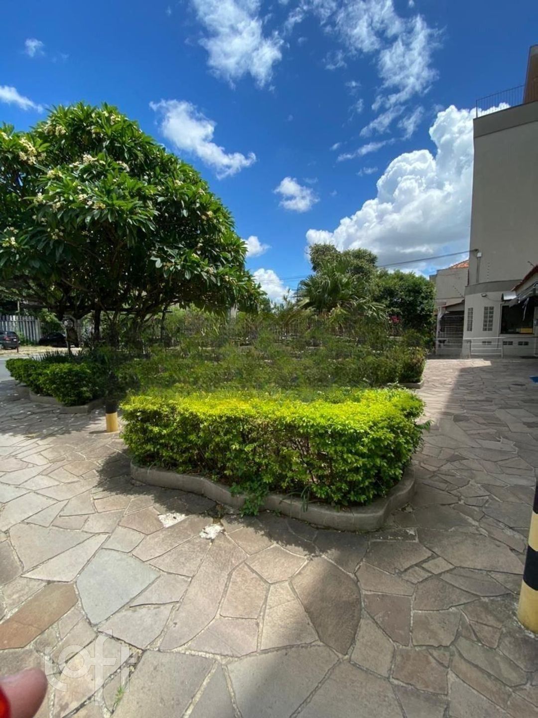 Imagem da propriedade 6