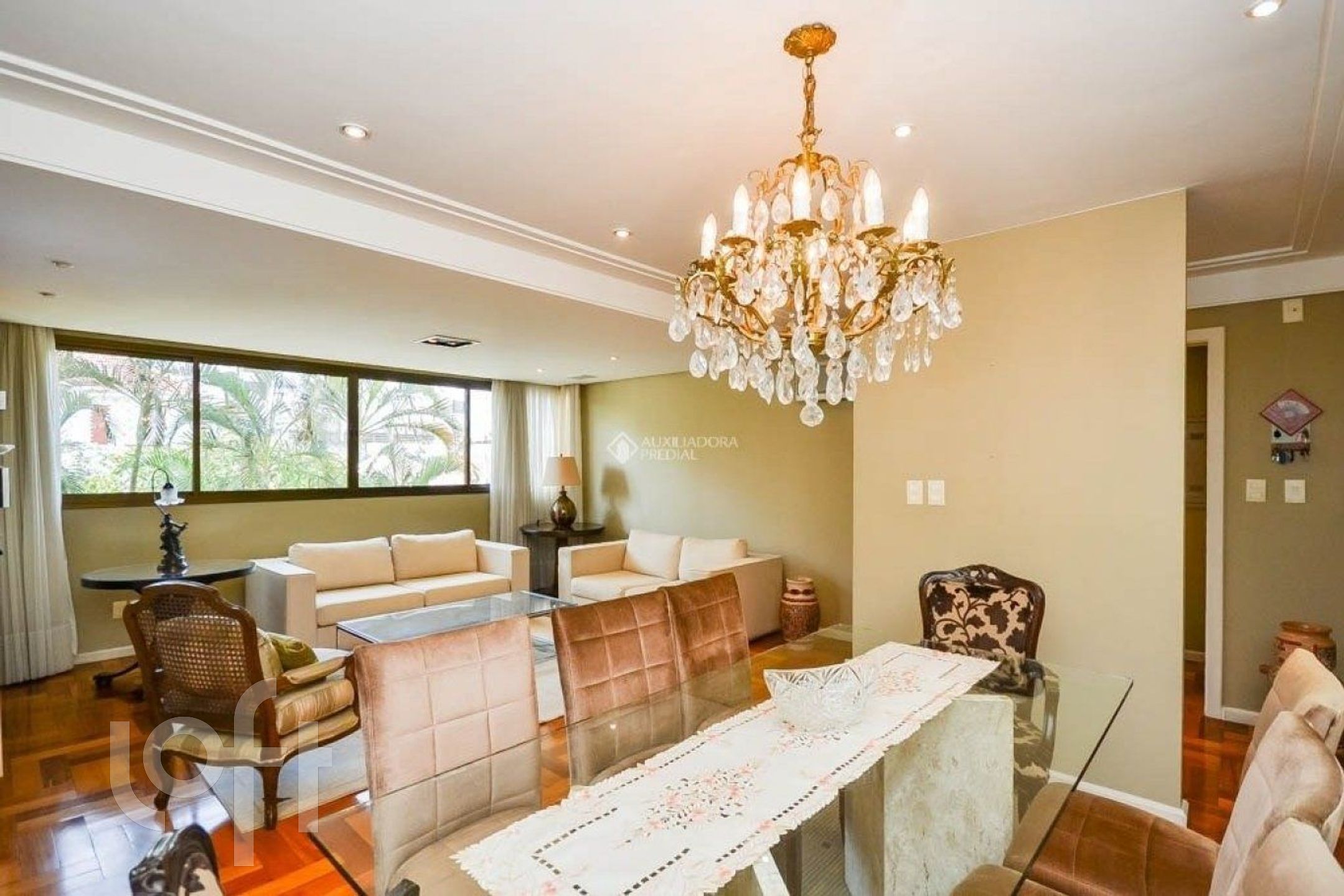 Imagem da propriedade 6