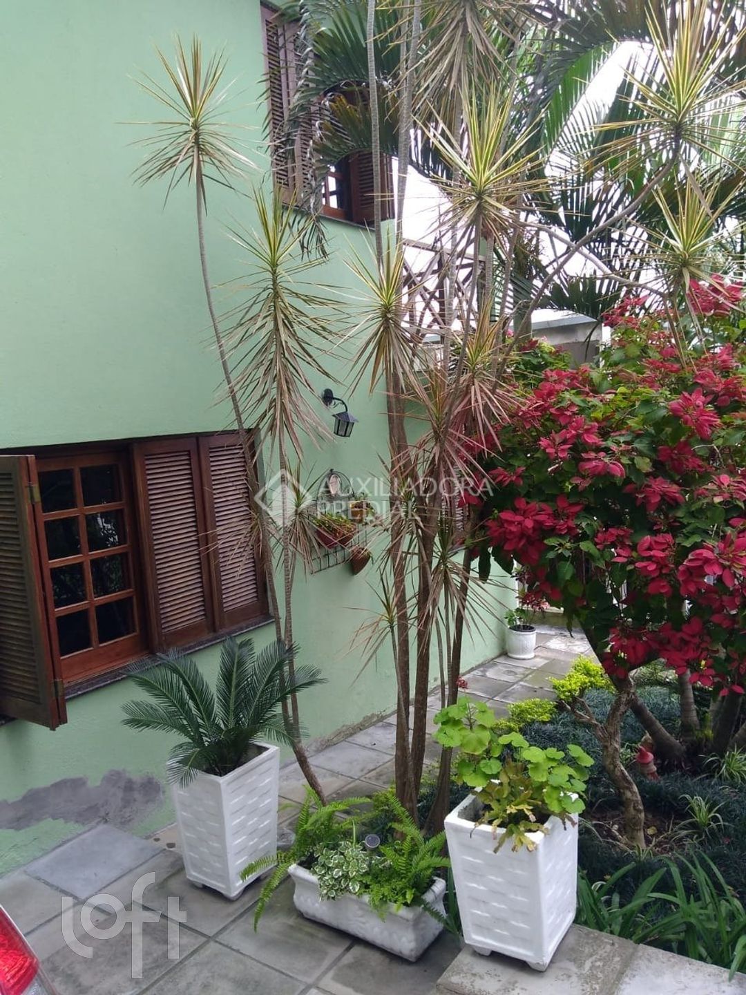 Imagem da propriedade 9