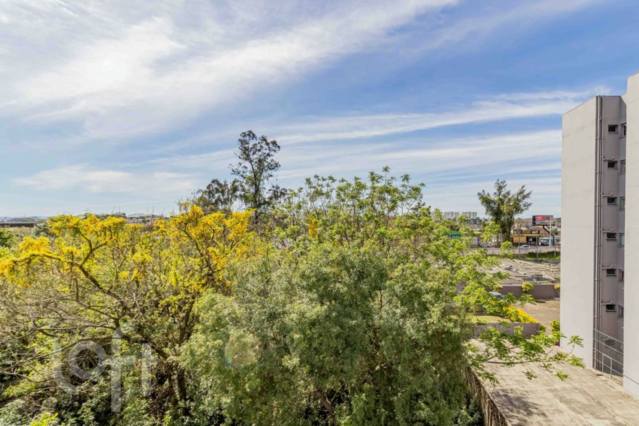 Imagem da propriedade 32