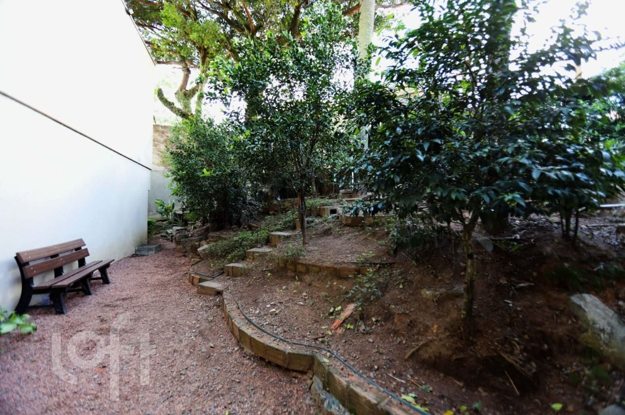 Imagem da propriedade 29