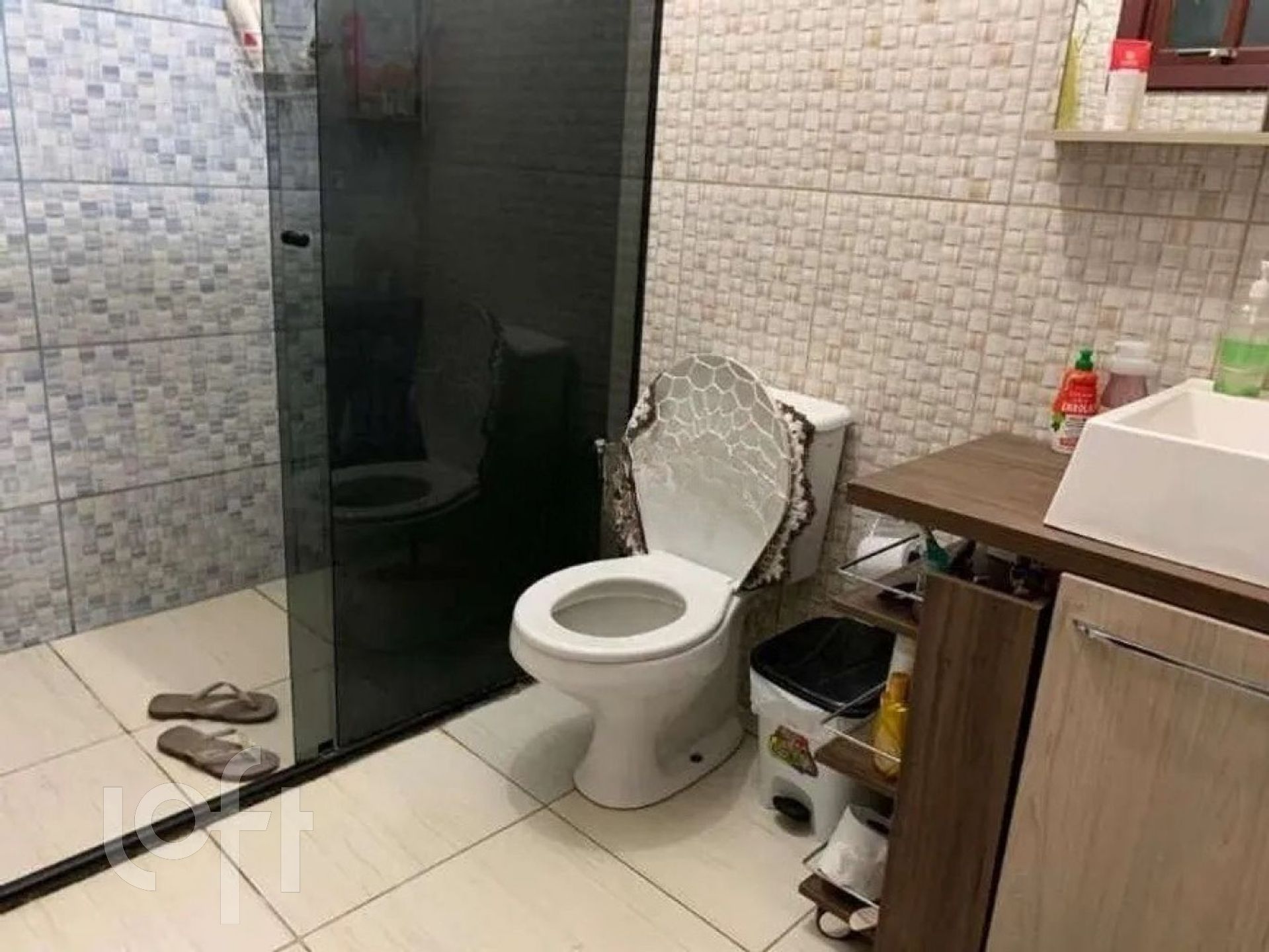 Imagem da propriedade 13