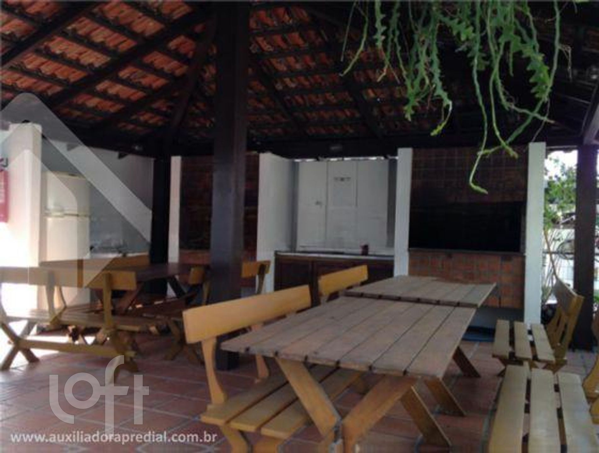 Imagem da propriedade 15