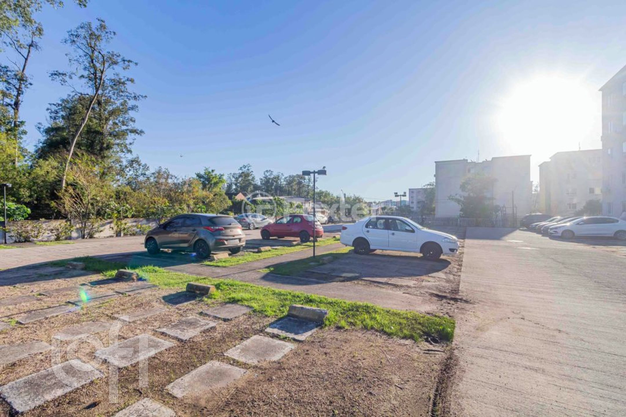 Imagem da propriedade 14