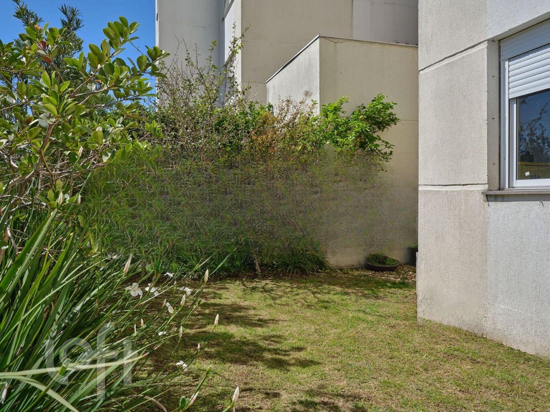 Imagem da propriedade 23