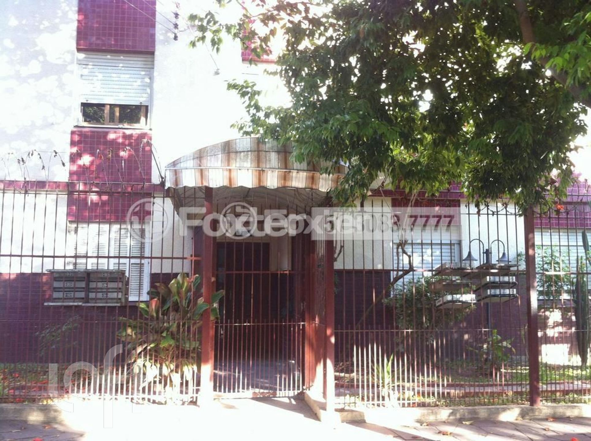 Imagem da propriedade 17