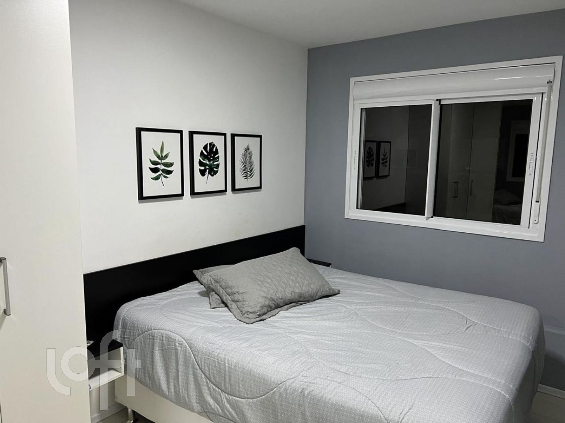 Imagem da propriedade 5