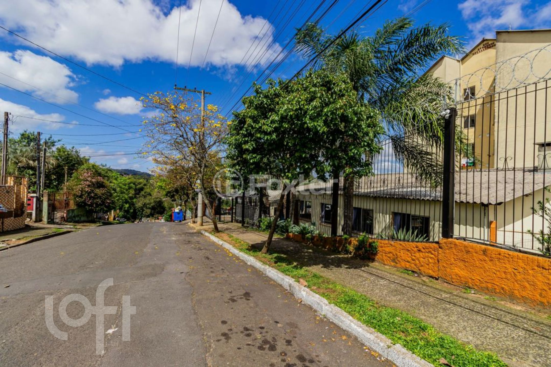 Imagem da propriedade 34