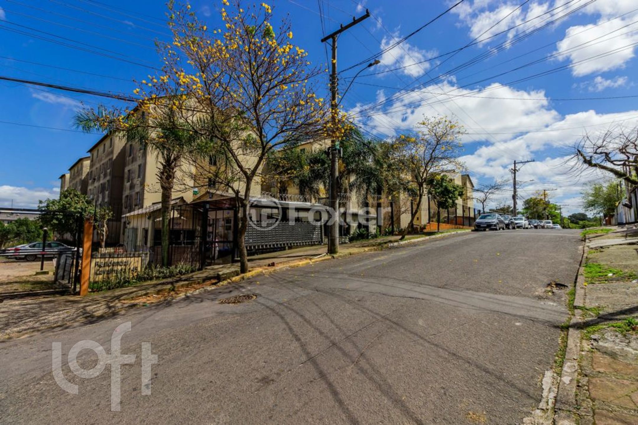 Imagem da propriedade 36