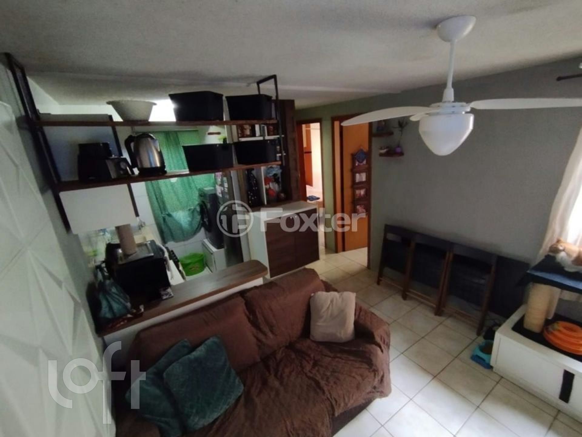 Imagem da propriedade 3