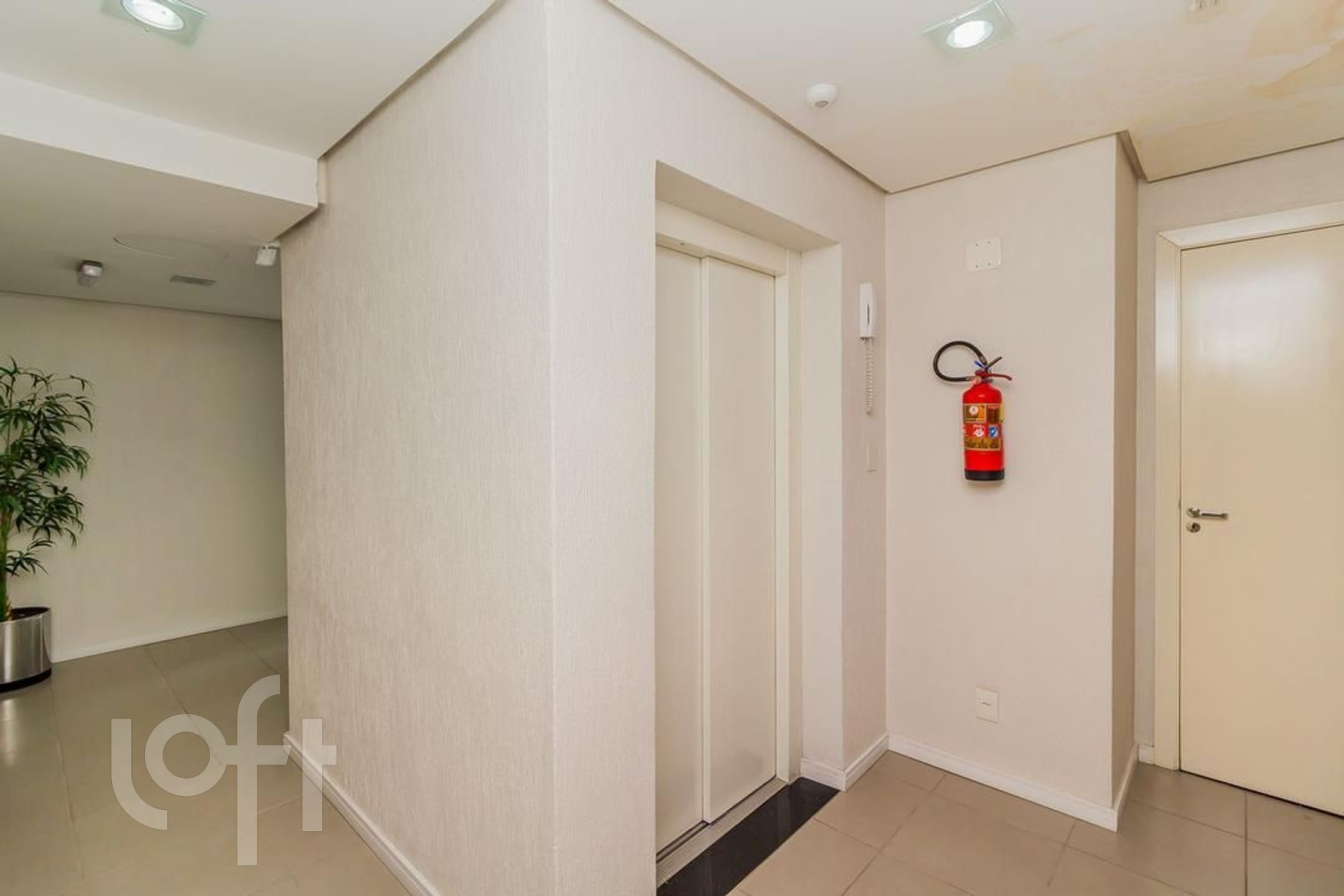 Imagem da propriedade 11