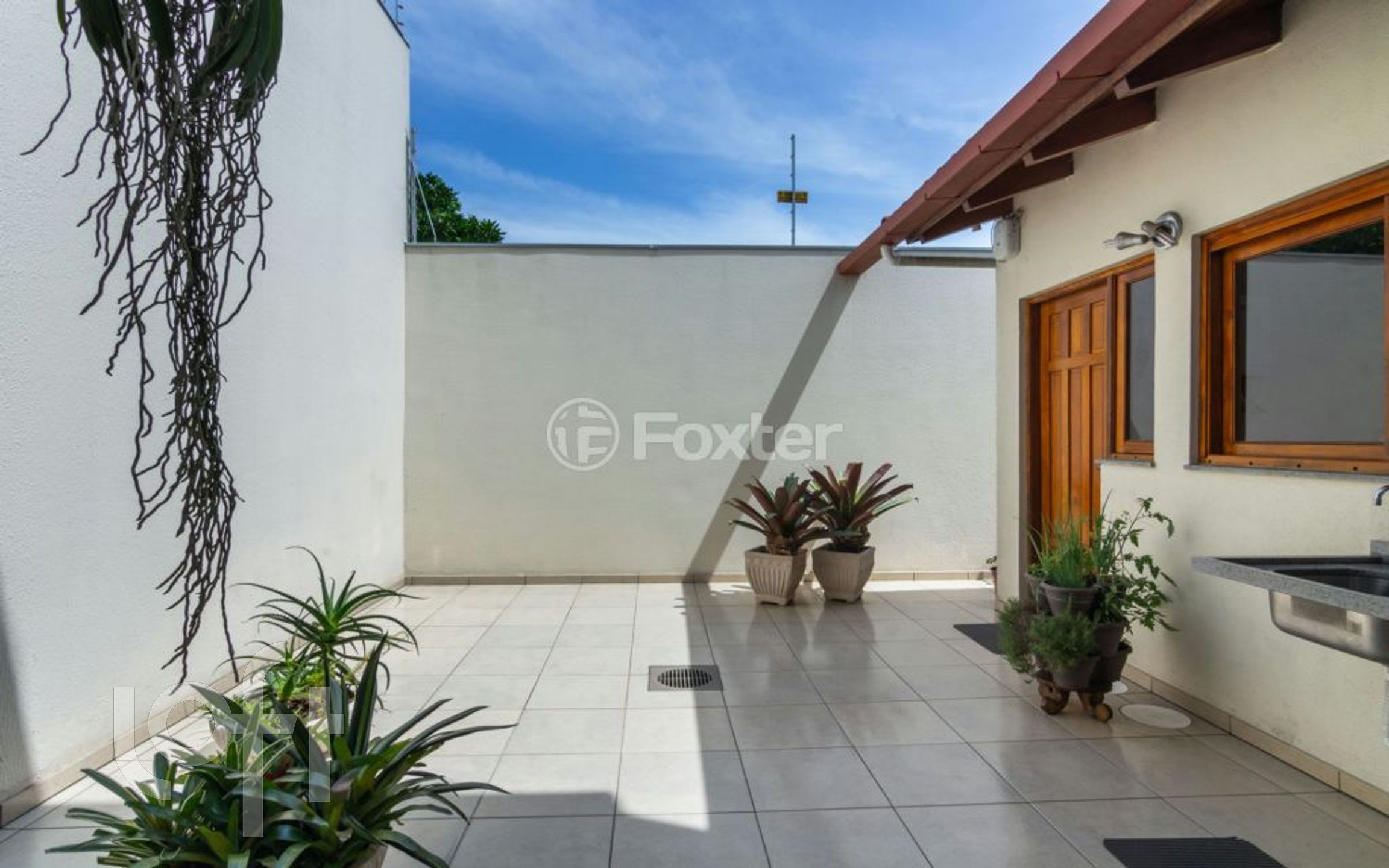 Imagem da propriedade 3