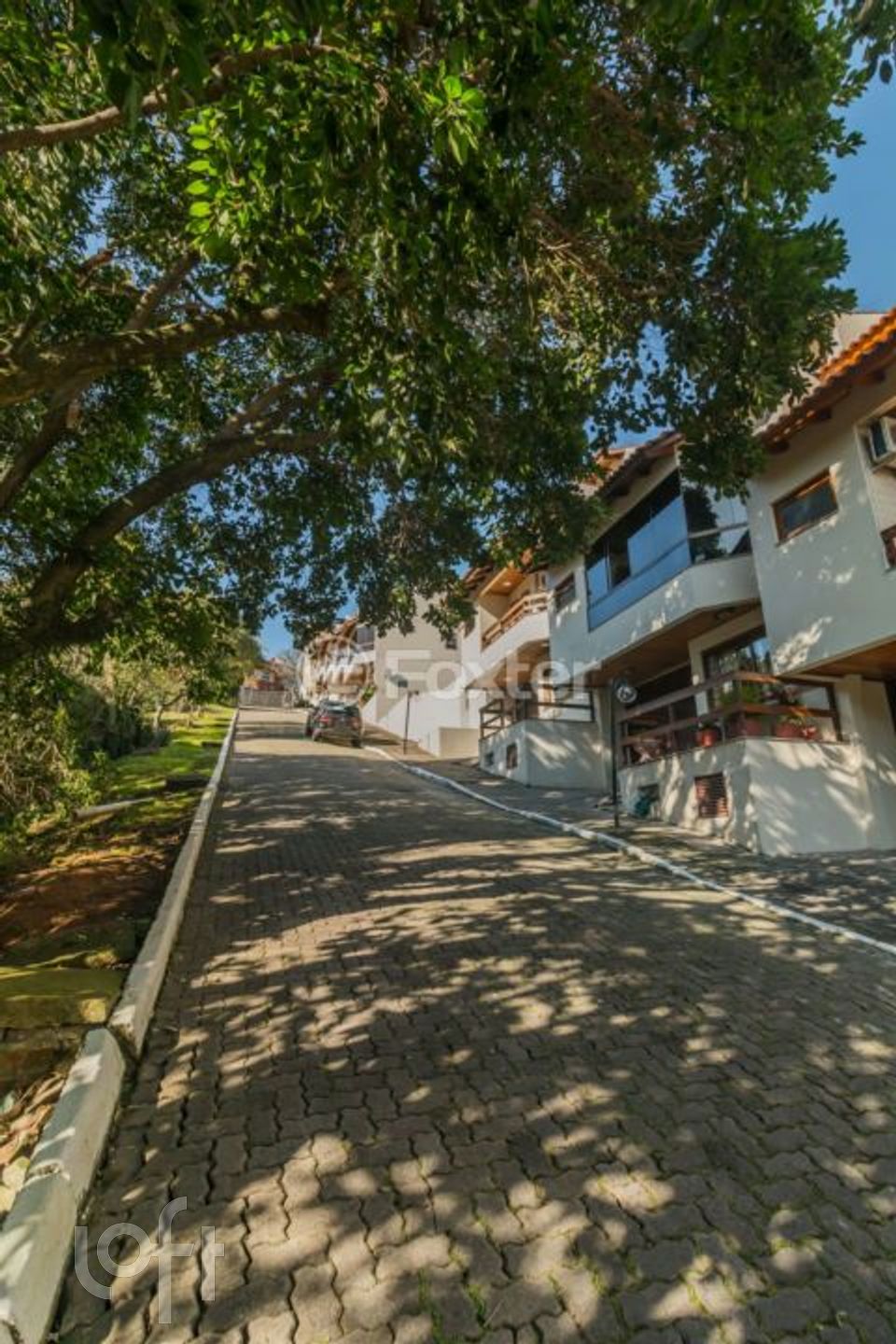 Imagem da propriedade 30