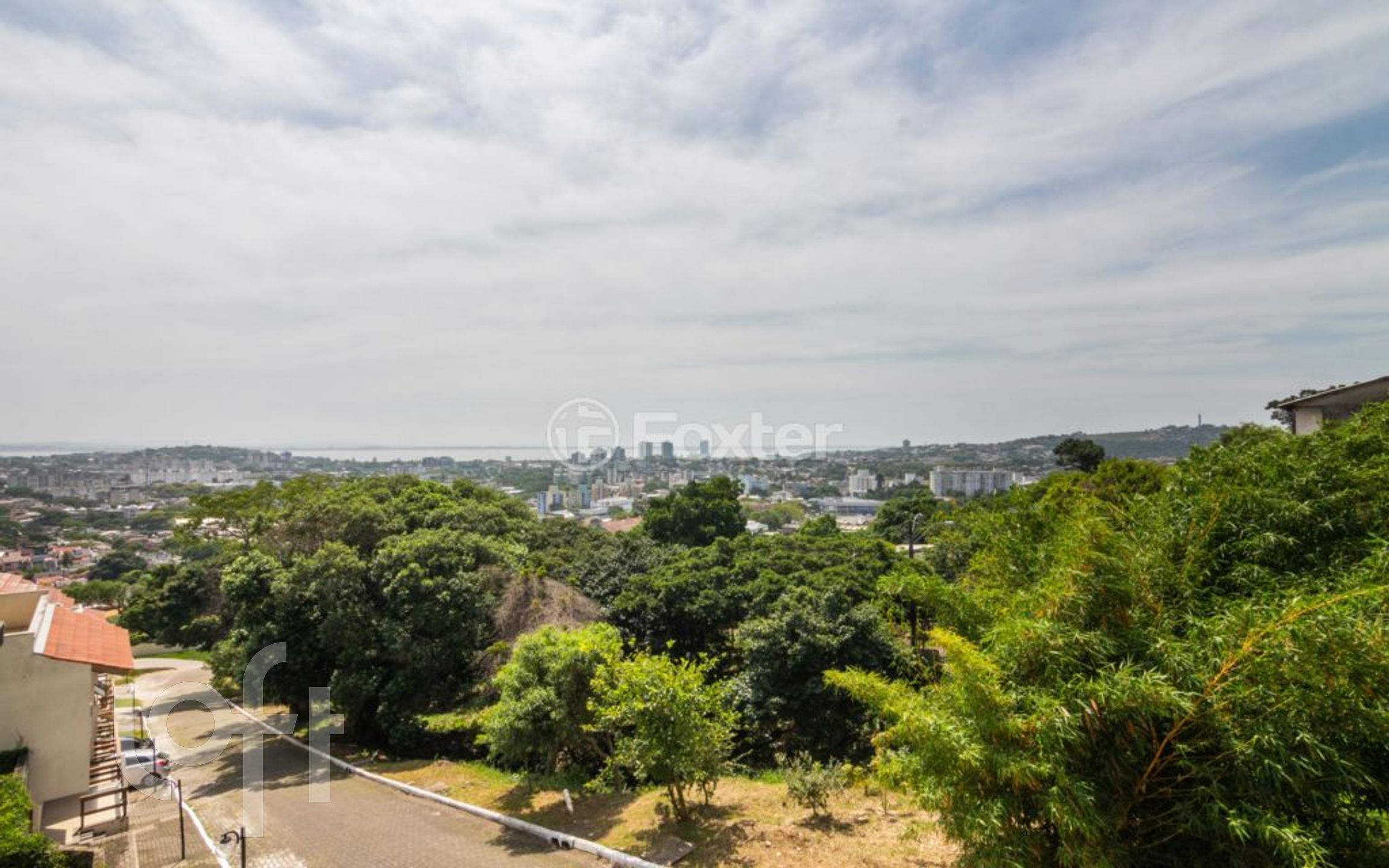 Imagem da propriedade 5