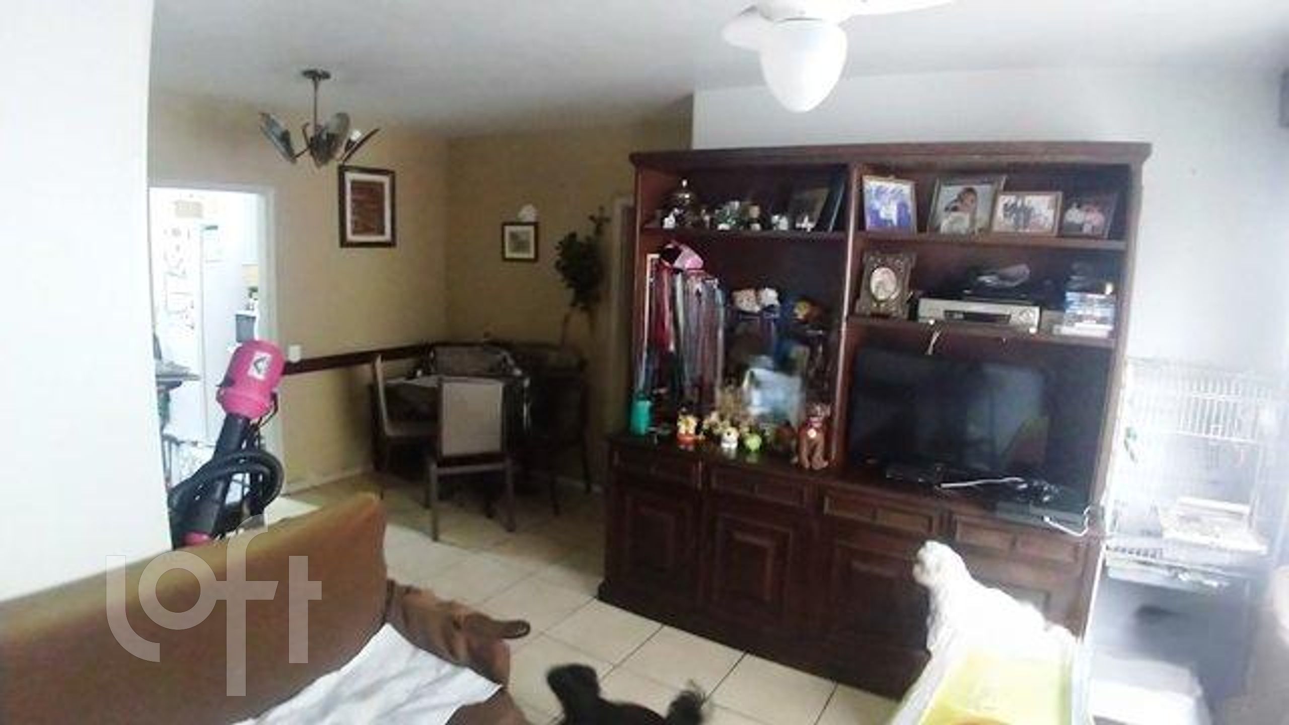 Apartamento à venda com 3 quartos, 82m² - Foto 2