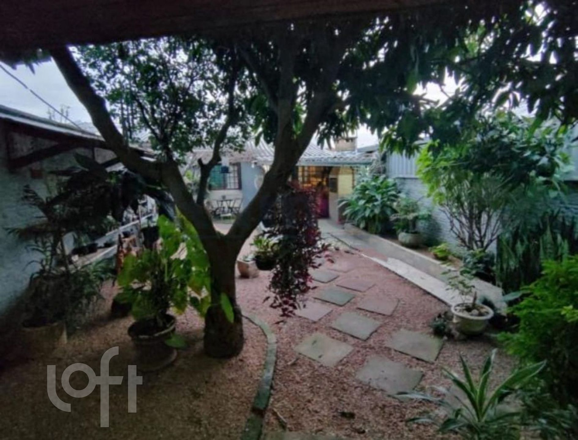 Imagem da propriedade 9