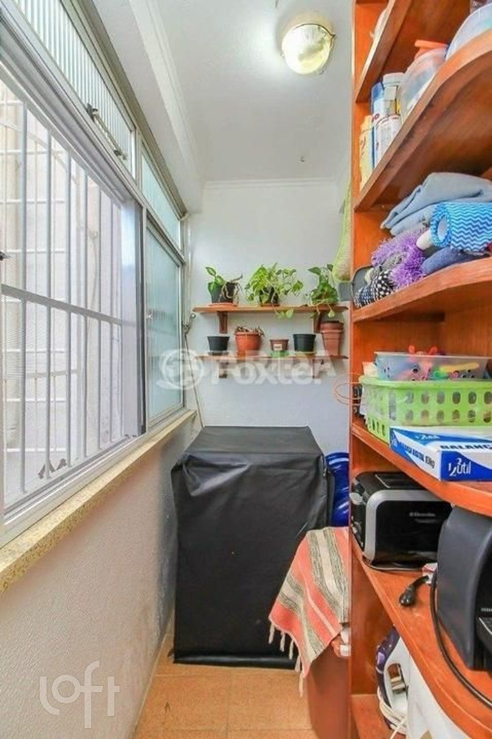 Imagem da propriedade 11