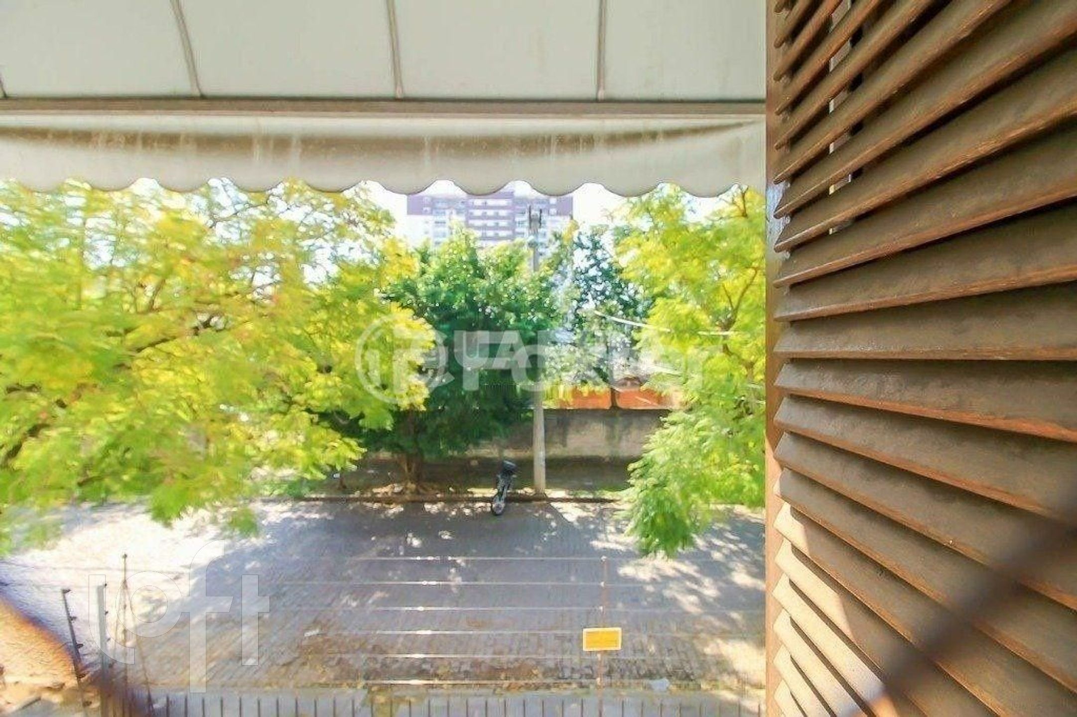 Imagem da propriedade 17