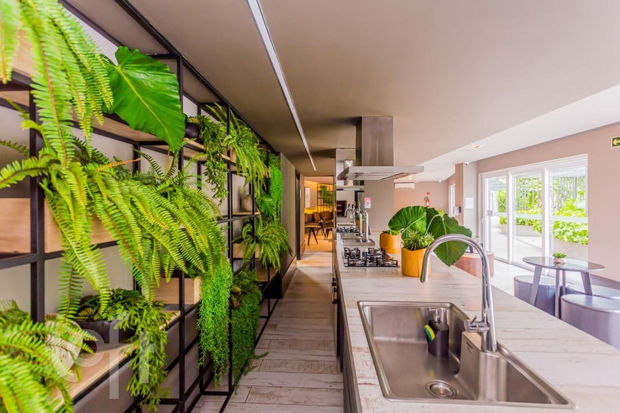 Imagem da propriedade 50