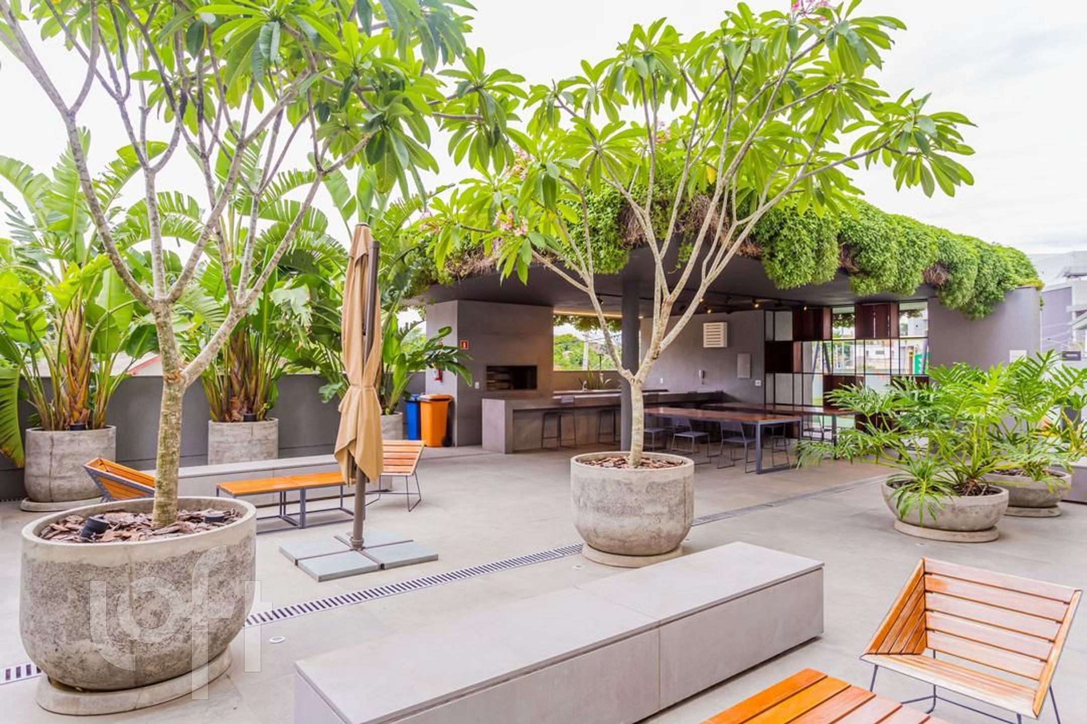 Imagem da propriedade 59